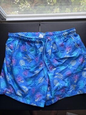 DSG Blue Swim Shorts with Neon Tropical Print
